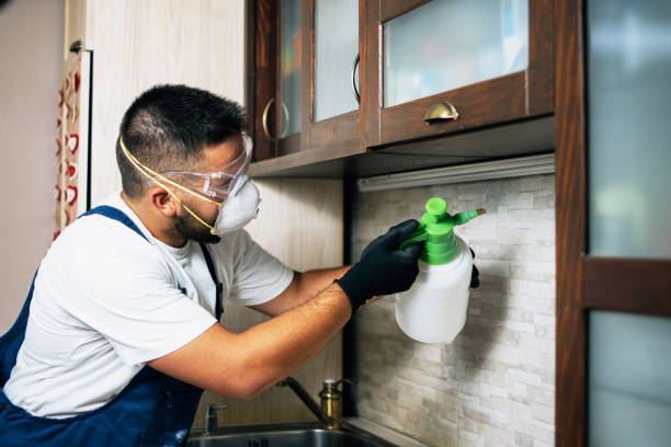 Best Wasp Removal Services  in Country Lake Estates, NJ