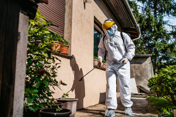 Best Termite Control Services  in Country Lake Estates, NJ