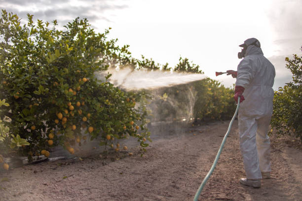 Best Best Pest Control Companies  in Country Lake Estates, NJ